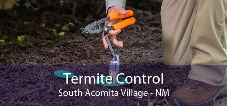 Termite Control South Acomita Village - NM