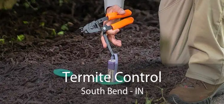 Termite Control South Bend - IN