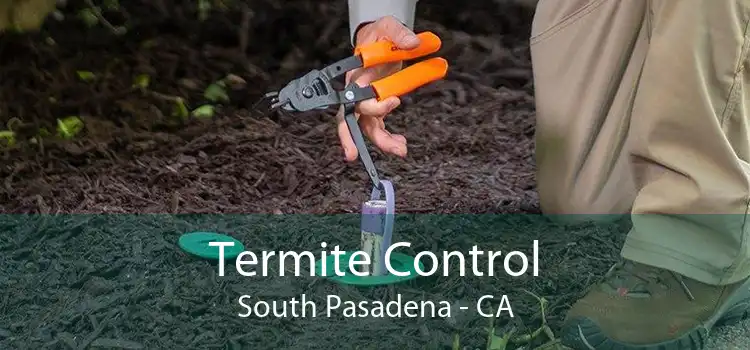 Termite Control South Pasadena - CA