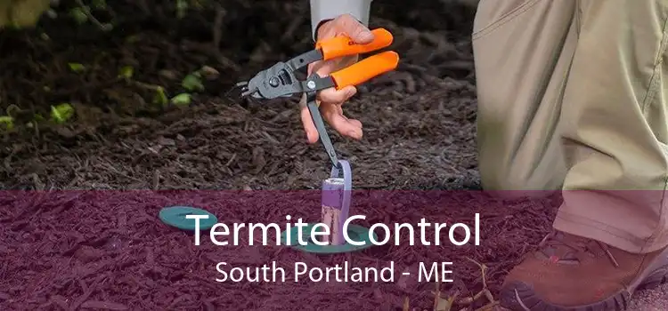 Termite Control South Portland - ME