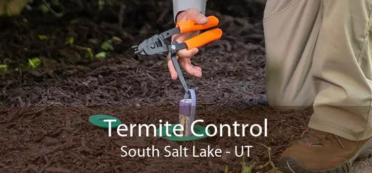 Termite Control South Salt Lake - UT