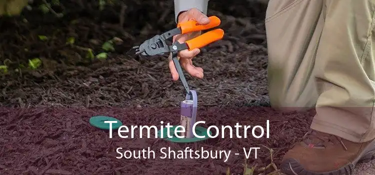 Termite Control South Shaftsbury - VT