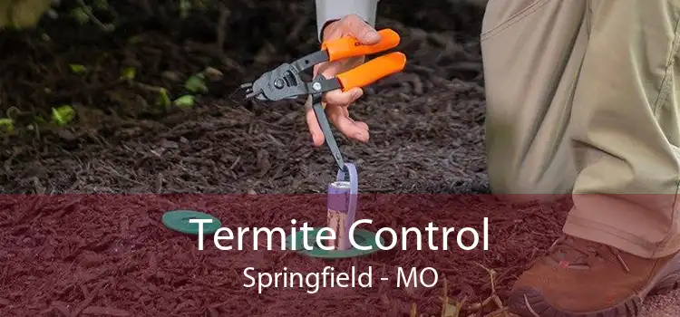Termite Control Springfield - MO