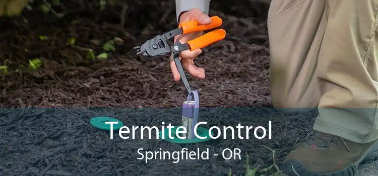Termite Control Springfield - OR