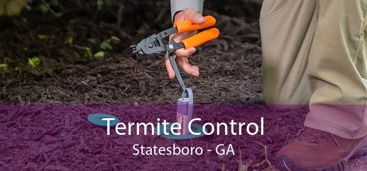 Termite Control Statesboro - GA