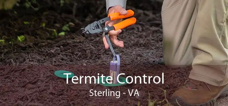 Termite Control Sterling - VA