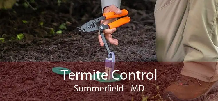 Termite Control Summerfield - MD