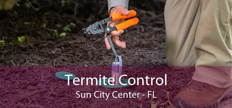 Termite Control Sun City Center - FL