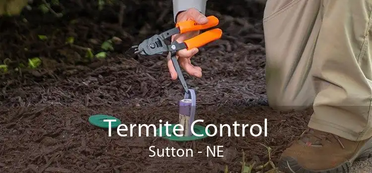 Termite Control Sutton - NE