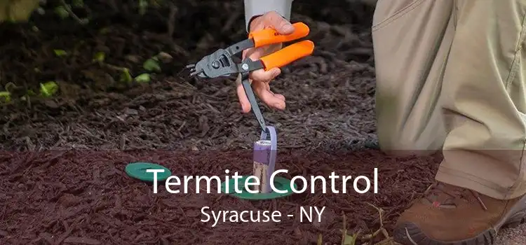 Termite Control Syracuse - NY