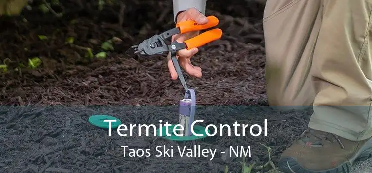 Termite Control Taos Ski Valley - NM