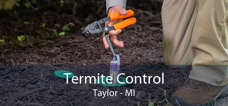 Termite Control Taylor - MI
