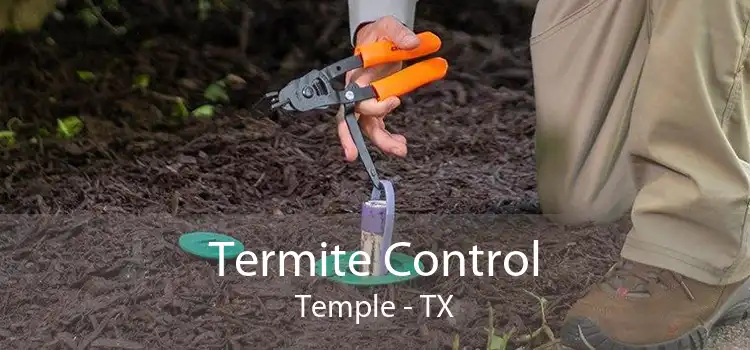 Termite Control Temple - TX