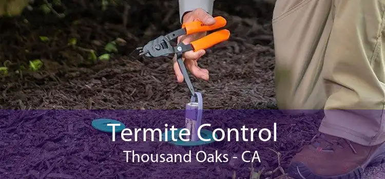 Termite Control Thousand Oaks - CA