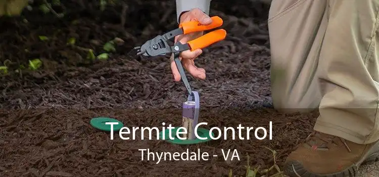 Termite Control Thynedale - VA
