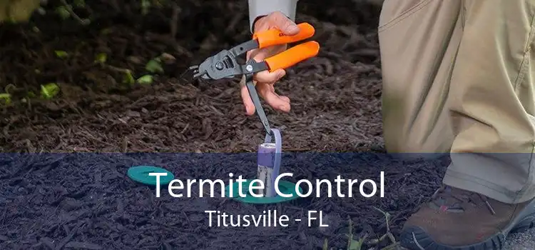 Termite Control Titusville - FL