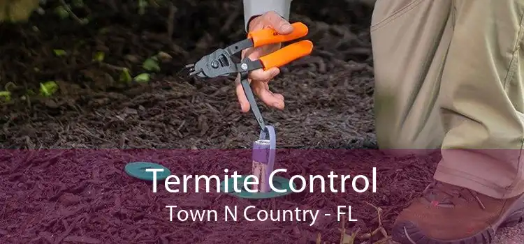 Termite Control Town N Country - FL