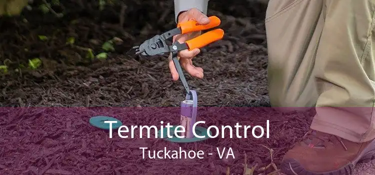 Termite Control Tuckahoe - VA