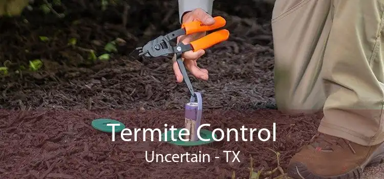 Termite Control Uncertain - TX
