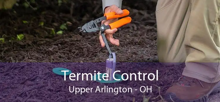 Termite Control Upper Arlington - OH