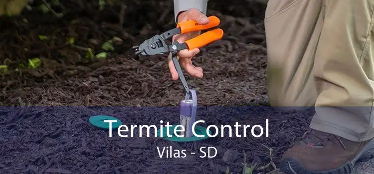 Termite Control Vilas - SD