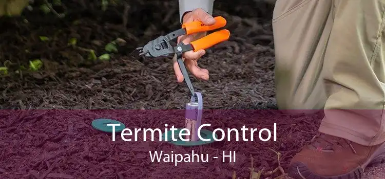Termite Control Waipahu - HI