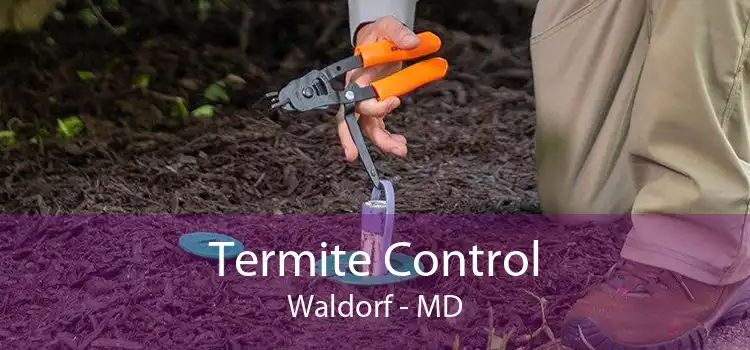 Termite Control Waldorf - MD