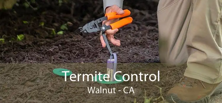 Termite Control Walnut - CA