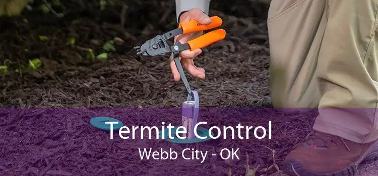 Termite Control Webb City - OK