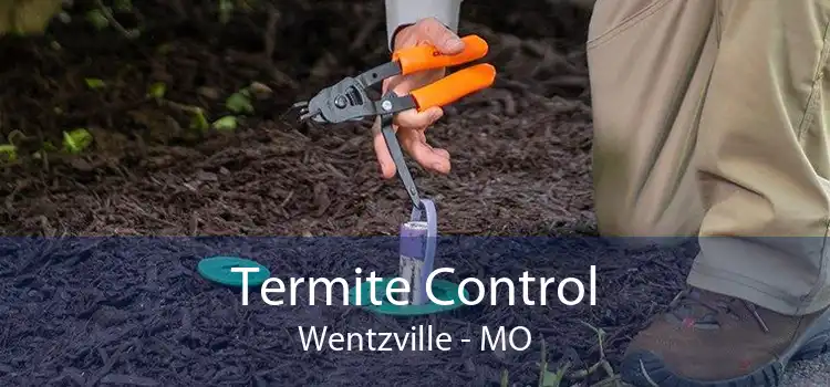 Termite Control Wentzville - MO