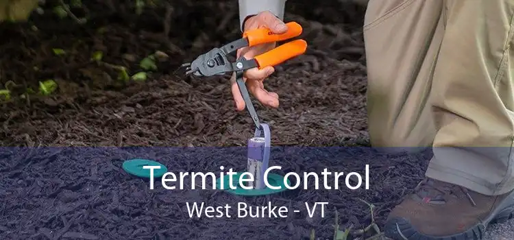 Termite Control West Burke - VT