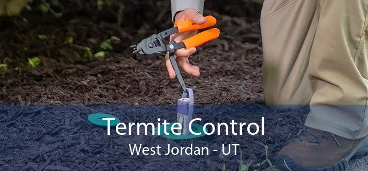 Termite Control West Jordan - UT