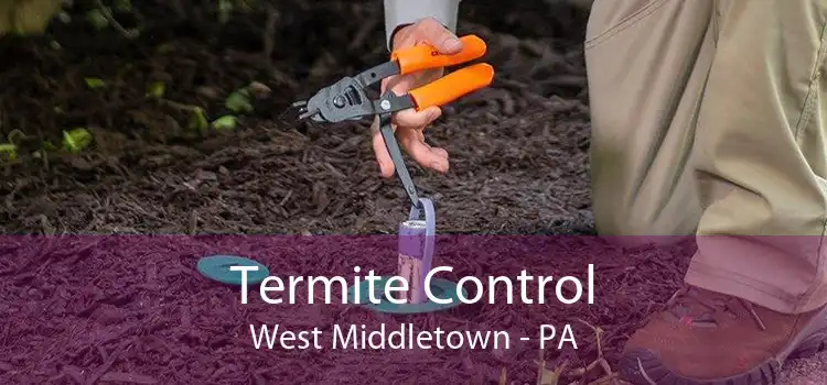 Termite Control West Middletown - PA