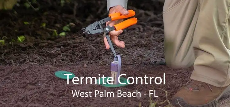 Termite Control West Palm Beach - FL