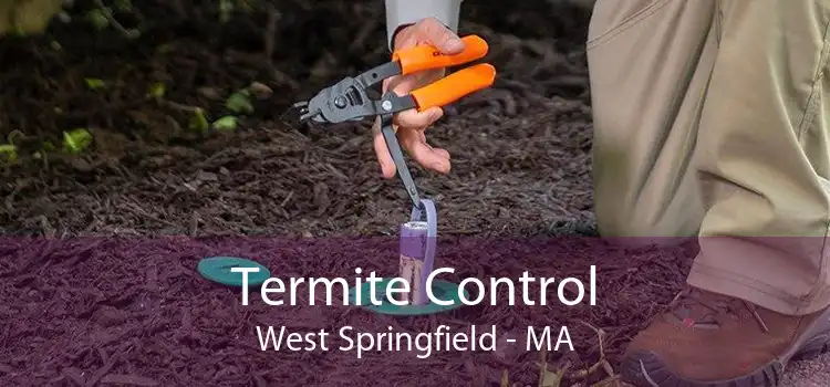Termite Control West Springfield - MA