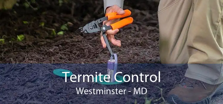 Termite Control Westminster - MD