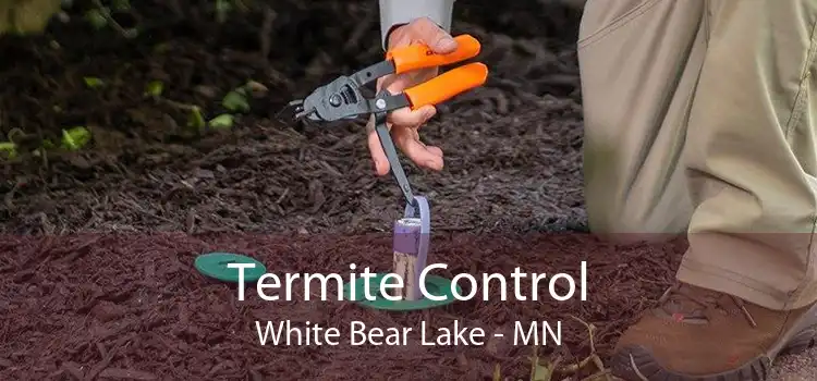Termite Control White Bear Lake - MN