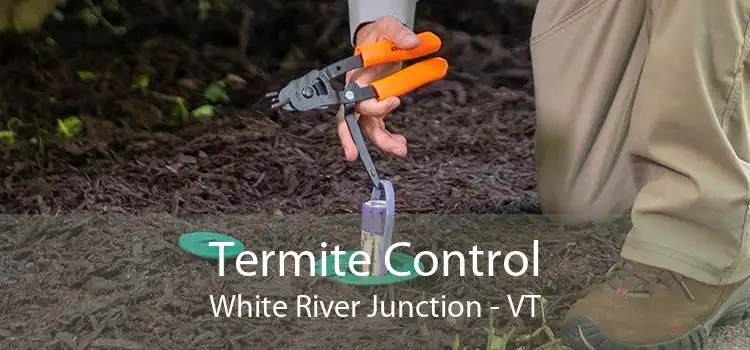 Termite Control White River Junction - VT