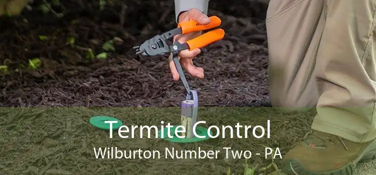 Termite Control Wilburton Number Two - PA