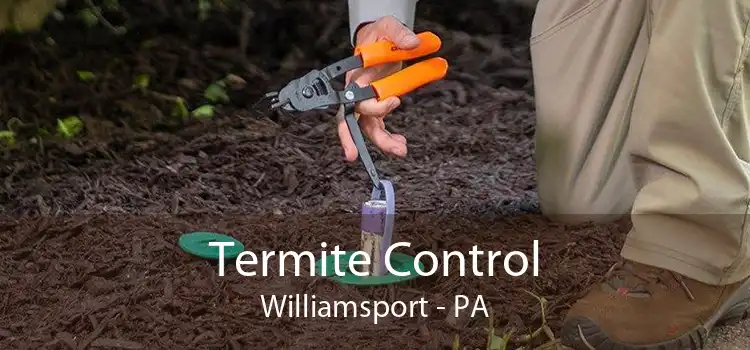 Termite Control Williamsport - PA