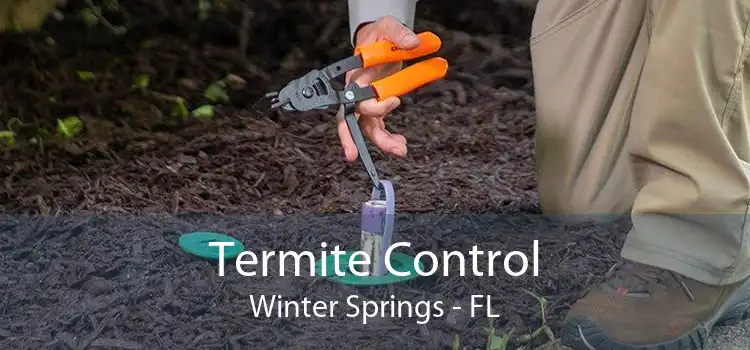 Termite Control Winter Springs - FL