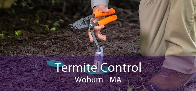 Termite Control Woburn - MA