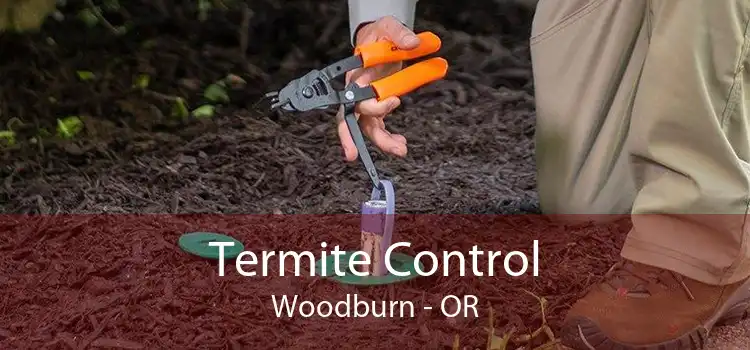 Termite Control Woodburn - OR