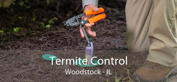 Termite Control Woodstock - IL
