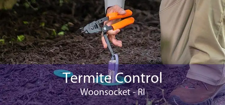 Termite Control Woonsocket - RI