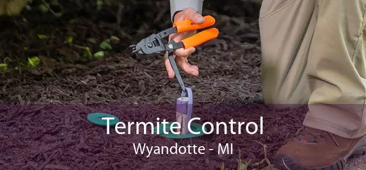 Termite Control Wyandotte - MI