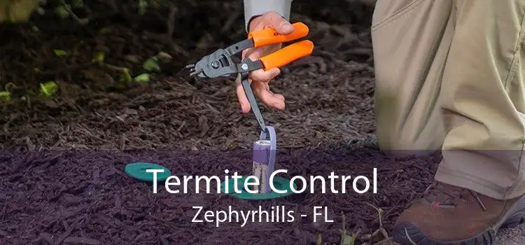 Termite Control Zephyrhills - FL