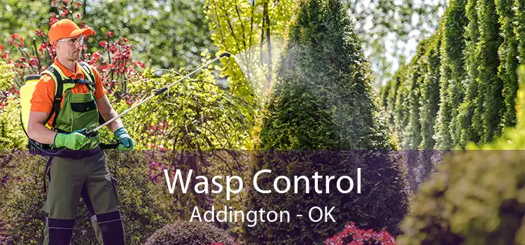 Wasp Control Addington - OK