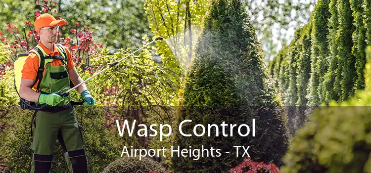 Wasp Control Airport Heights - TX