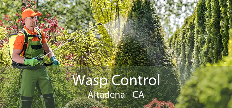Wasp Control Altadena - CA